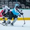 bkbhockey